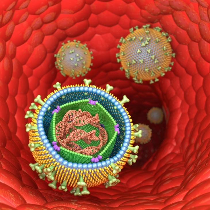 3D prikaz strukture Epstein-Barr virusa (infektivne mononukleoze) u ćelijama ljudskog tela