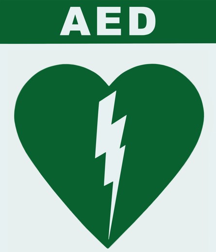 AED - javno obeležavanje
