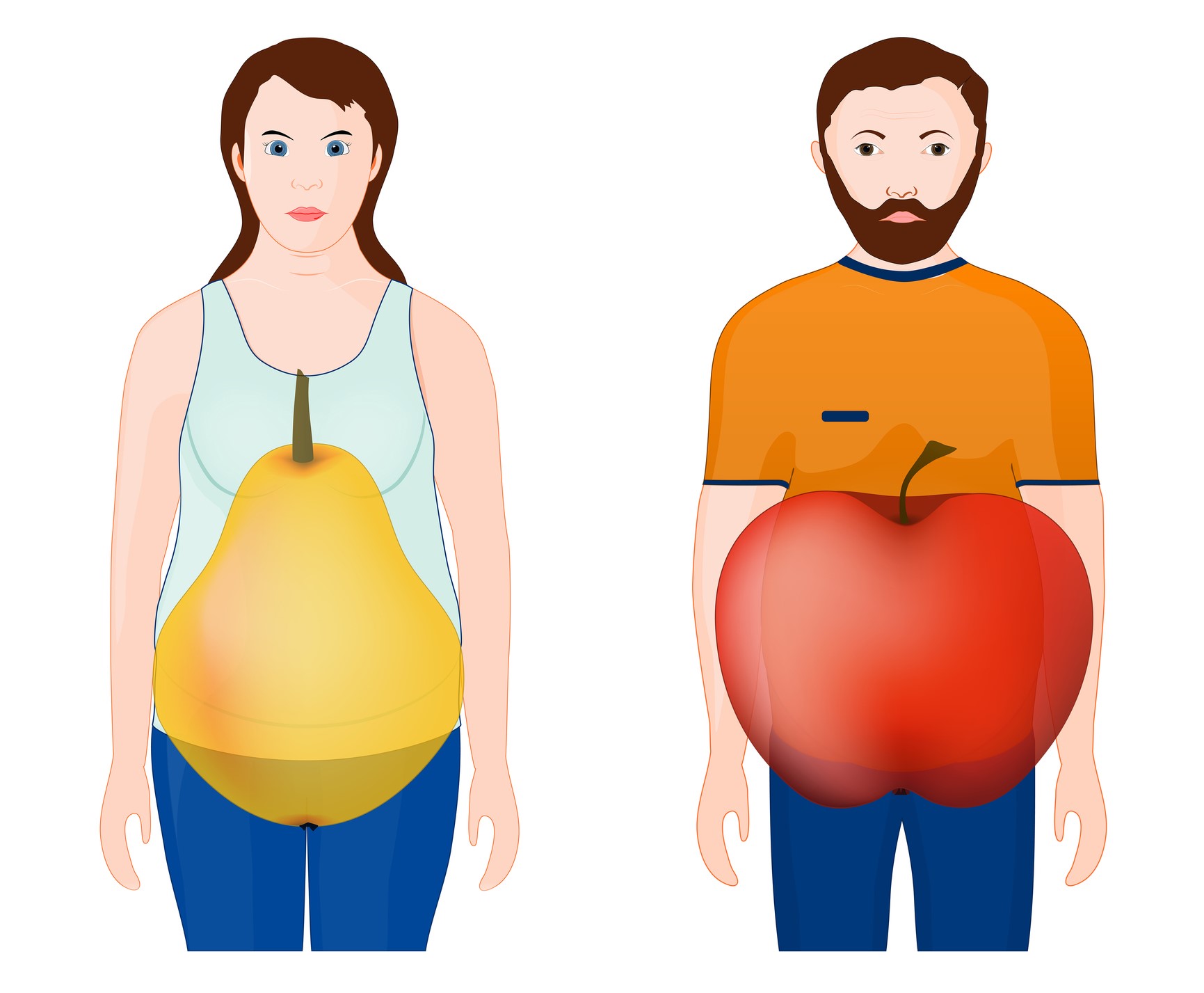 Animirana slika prikazuje oblik tela - žena, kruška, muškarac, jabuka