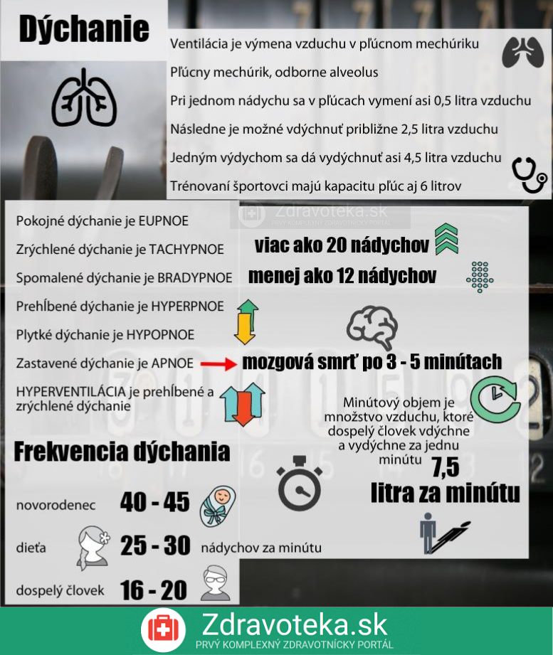 Informácie o dýchaní Infografika uvádza informácie o dýchaní, čo je dýchanie, pľúcny mechúrik, aké množstvo sa vdýchne pri jednom nádychu, aké poznáme dýchania, aká je frekvencia dýchania a aký je minútový objem