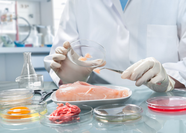 laborant držiaci petriho misku skúmajúci baktérie v mäse