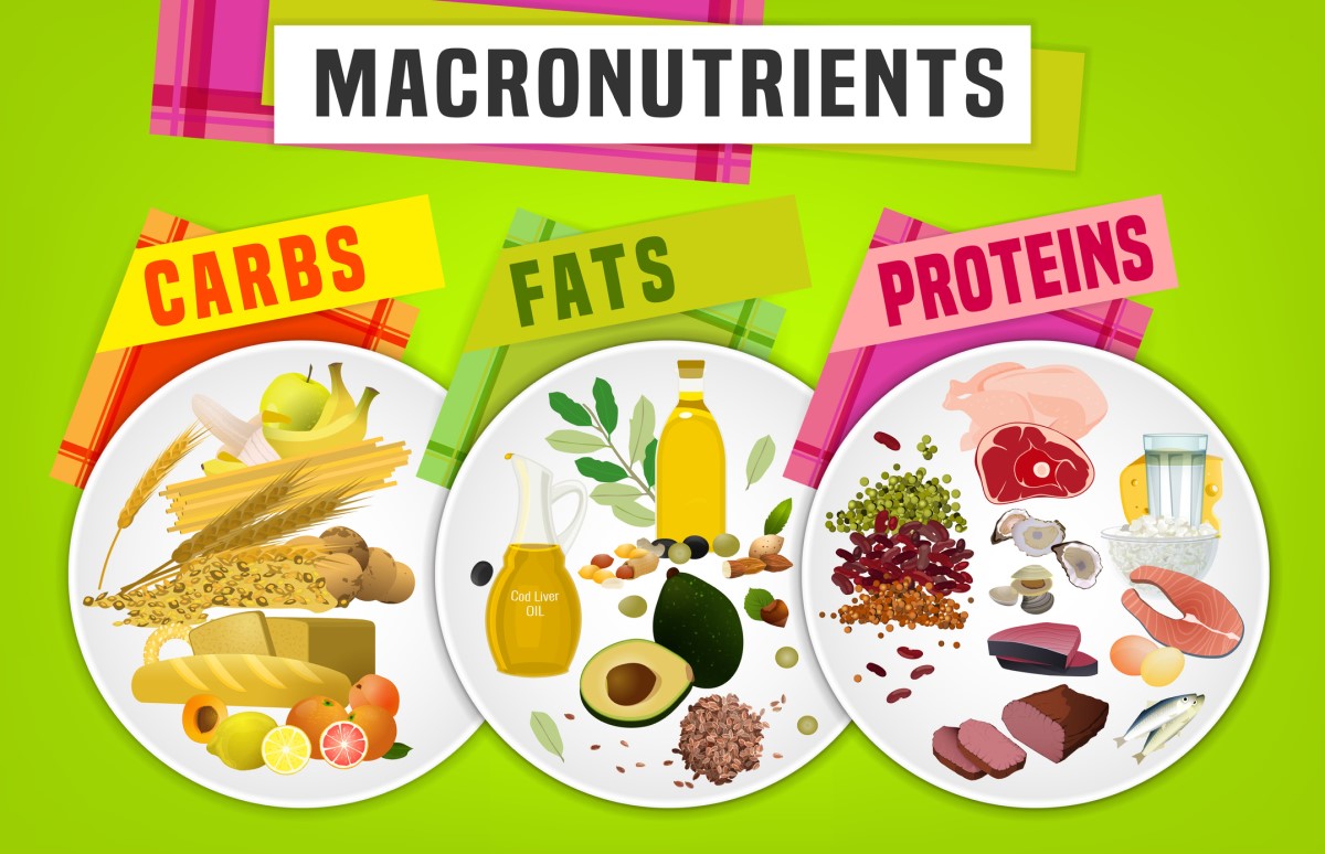 Makronutrienty - cukry, tuky, bielkoviny - animácia tanierov a potravín s danými živinami