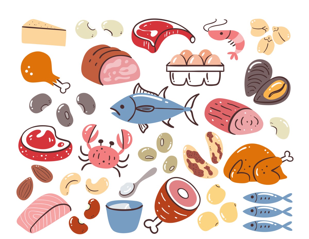 Potravinové zdroje bielkovín - animovaný obrázok