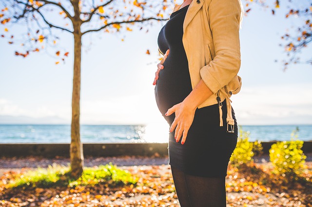 trudna žena stoji ispred drveta jesen