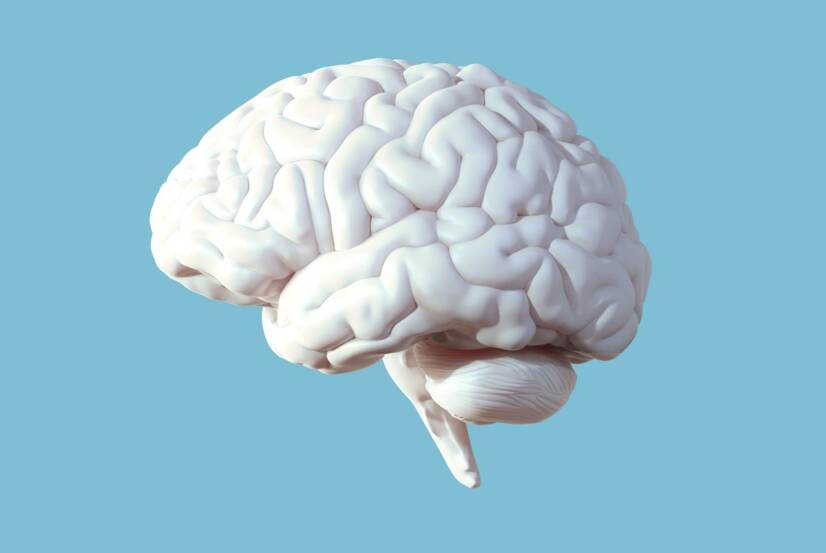 Apsces mozga: šta je to i kako se manifestuje? Zašto dolazi do infekcije mozga?