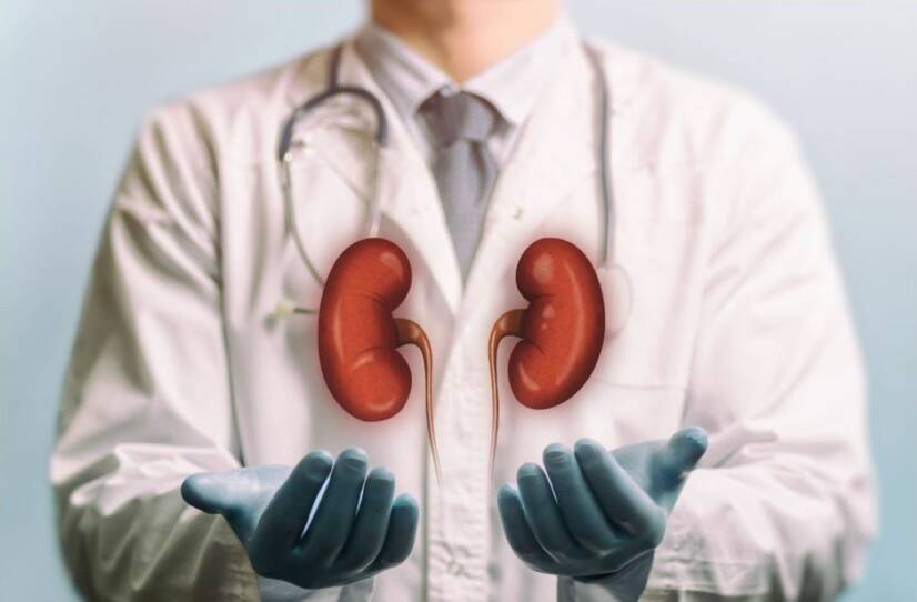 Ochorenia obličiek: Najčastejšie typy, ich komplikácie, prevencia a liečebné metódy