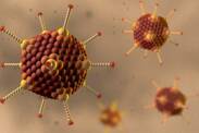 Adenovirusna infekcija: šta je adenovirus, njegov prenos i simptomi?